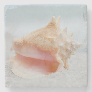 Conch Shell Stenen Onderzetter