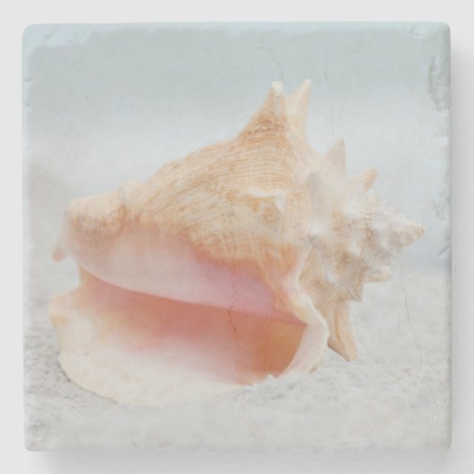 Conch Shell Stenen Onderzetter (Voorkant)
