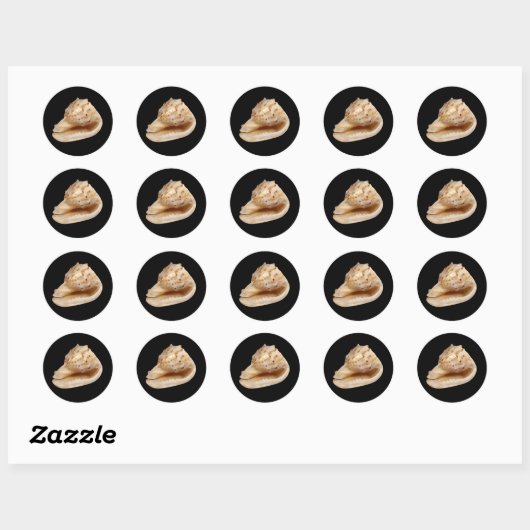 Conch Shell Sticker (Vel)