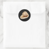 Conch Shell Sticker (Tas)