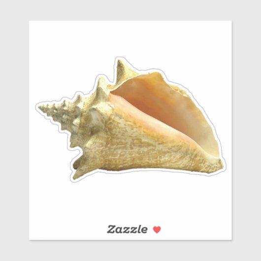 Conch Shell Sticker (Vel)