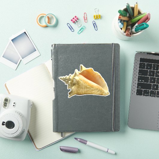 Conch Shell Sticker (iPad Cover)