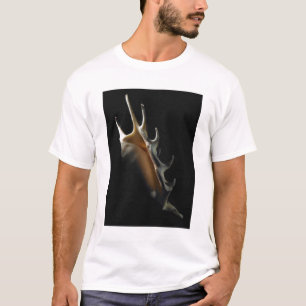Conch shell t-shirt