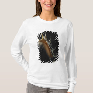 Conch shell t-shirt