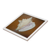 Conch Shell Tegel Tegeltje (Zijkant)