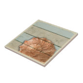 Conch Shell Tegeltje (Zijkant)