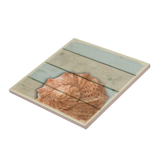 Conch Shell Tegeltje (Zijkant)