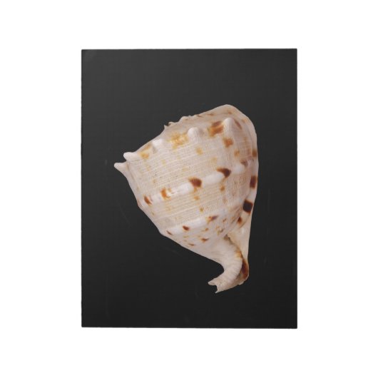 Conch Shell-toetsenblok Notitieblok (Linkerzijde)