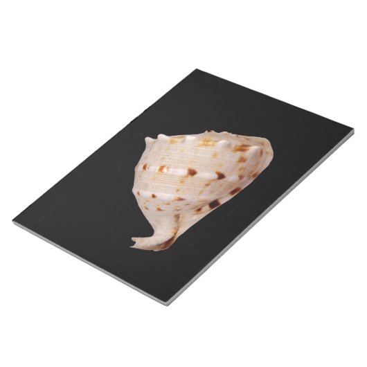 Conch Shell-toetsenblok Notitieblok (Schuin)