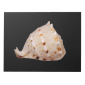 Conch Shell-toetsenblok Notitieblok (Voorkant)