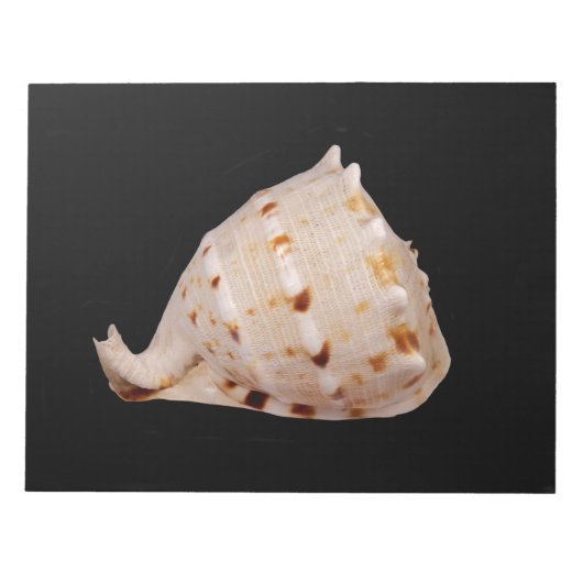 Conch Shell-toetsenblok Notitieblok (Voorkant)