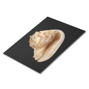 Conch Shell-toetsenblok Notitieblok