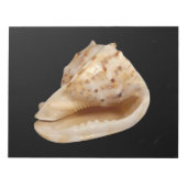 Conch Shell-toetsenblok Notitieblok (Voorkant)