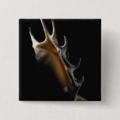 Conch shell vierkante button 5,1 cm (Voorkant)