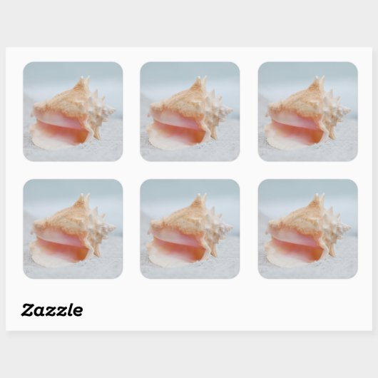 Conch Shell Vierkante Sticker (Vel)
