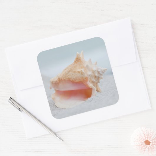 Conch Shell Vierkante Sticker (Envelop)