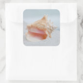 Conch Shell Vierkante Sticker (Tas)
