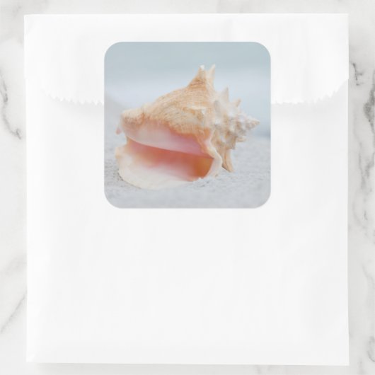 Conch Shell Vierkante Sticker (Tas)