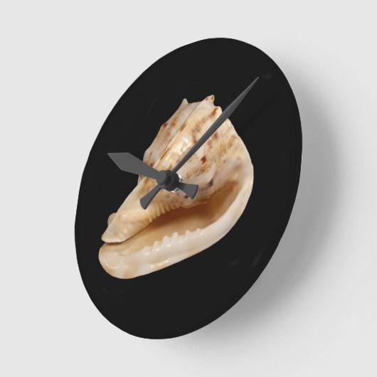 Conch Shell-wandklok Ronde Klok (Hoek)