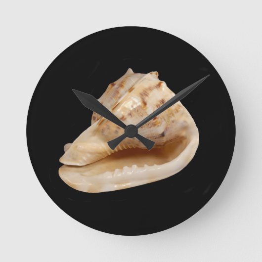 Conch Shell-wandklok Ronde Klok (Voorkant)