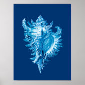 Conch Shell Zee Life Print, Indigo Blue en White Poster (Voorkant)