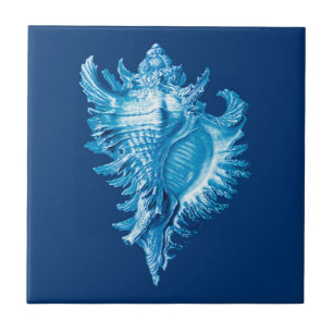 Conch Shell Zee Life Print, Indigo Blue en White Tegeltje