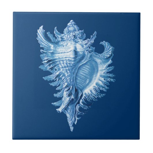 Conch Shell Zee Life Print, Indigo Blue en White Tegeltje (Voorkant)