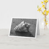 Conch Shell (zwart-wit)-kaart Kaart (Gele Bloem)