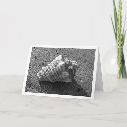 Conch Shell (zwart-wit)-kaart Kaart (Voorkant)