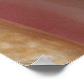 Conch Shells Poster (Hoek)