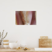 Conch Shells Poster (Keuken)