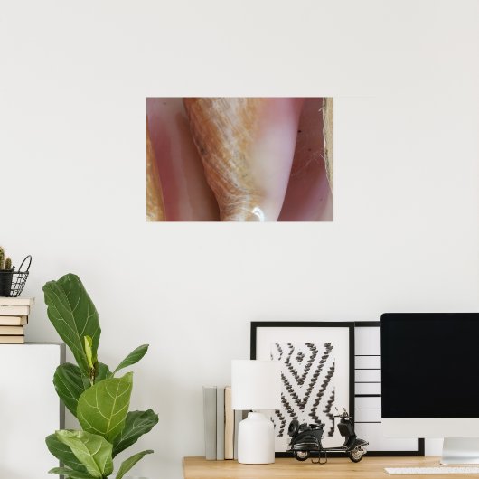 Conch Shells Poster (Thuiskantoor)