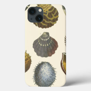 Conchologie Collectie iPhone 13 Hoesje