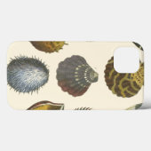 Conchologie Collectie Case-Mate iPhone Case (Achterkant (horizontaal))