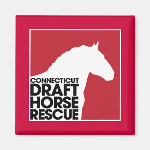 Conciut Draft Horse Rescue magneet