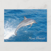 Concord Landing in Seattle Briefkaart (Voorkant)