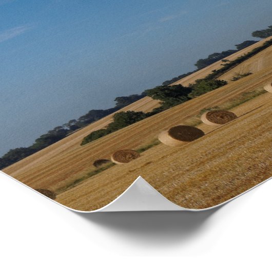 Concorde bij oogsttijd poster (Hoek)