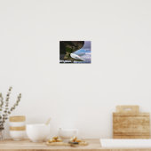 Concorde Poster (Keuken)