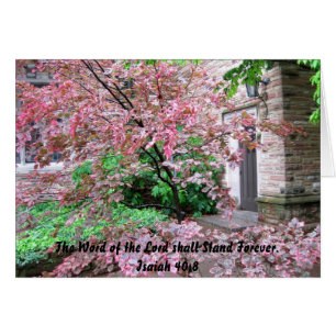 Concordia Seminarie - Het woord van de Heer