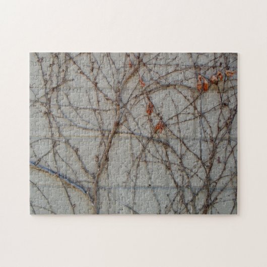 Concrete blokwand met wijnstokken legpuzzel (Horizontaal)