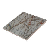 Concrete blokwand met wijnstokken tegeltje (Zijkant)