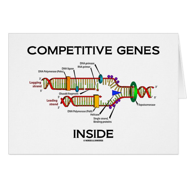Concurrerende genen binnen (DNA-replicatie) (Voorkant Horizontaal)