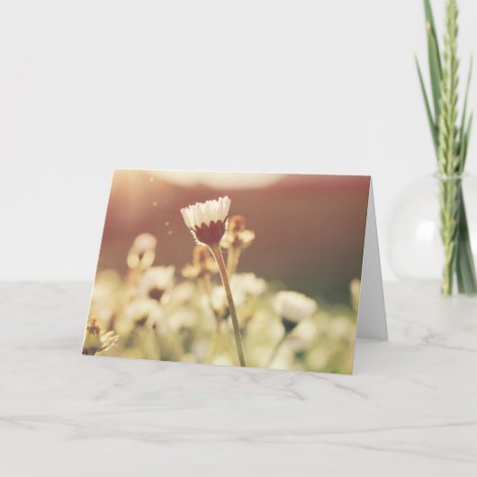 Condoleance rouw bloem in de zon kaart (Voorkant)