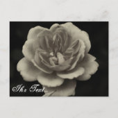 Condoleancekaart Briefkaart (Voorkant)