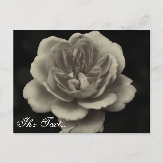 Condoleancekaart Briefkaart (Voorkant)