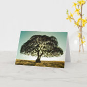 Condoleances Kaart met Boom (Gele Bloem)