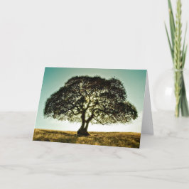Condoleances Kaart met Boom