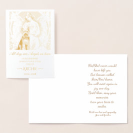 Condoleances voor het verlies van Yorkshire Terrie Folie Kaarten