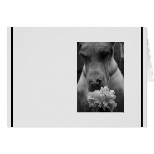 condoleances voor zwart en wit (Voorkant Horizontaal)