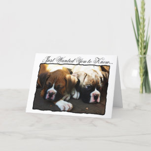 Condolences Boxer puppies wenskaart Kaart